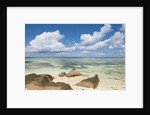 Source d'Argent Beach, La Digue, Seychelles, Indian Ocean Islands by Anonymous