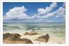 Source d'Argent Beach, La Digue, Seychelles, Indian Ocean Islands by Anonymous