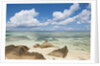 Source d'Argent Beach, La Digue, Seychelles, Indian Ocean Islands by Anonymous