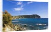 Coastline, Forio, Campania, Italy by Anonymous