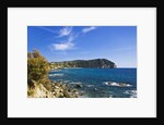 Coastline, Forio, Campania, Italy by Anonymous