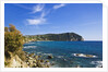 Coastline, Forio, Campania, Italy by Anonymous