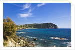 Coastline, Forio, Campania, Italy by Anonymous