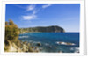 Coastline, Forio, Campania, Italy by Anonymous