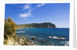 Coastline, Forio, Campania, Italy by Anonymous