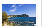 Coastline, Forio, Campania, Italy by Anonymous