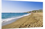 Coastline, Forio, Campania, Italy by Anonymous