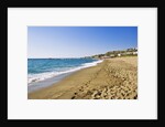 Coastline, Forio, Campania, Italy by Anonymous