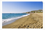 Coastline, Forio, Campania, Italy by Anonymous