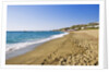Coastline, Forio, Campania, Italy by Anonymous