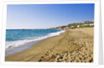 Coastline, Forio, Campania, Italy by Anonymous