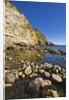 Baia di Sorgeto, Panza. Forio, Campania, Italy by Anonymous