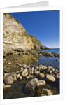 Baia di Sorgeto, Panza. Forio, Campania, Italy by Anonymous