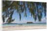 Praslin Island, Seychelles, Indian Ocean Islands by Anonymous