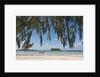 Praslin Island, Seychelles, Indian Ocean Islands by Anonymous