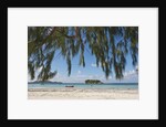 Praslin Island, Seychelles, Indian Ocean Islands by Anonymous