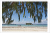 Praslin Island, Seychelles, Indian Ocean Islands by Anonymous