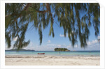 Praslin Island, Seychelles, Indian Ocean Islands by Anonymous