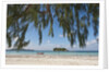 Praslin Island, Seychelles, Indian Ocean Islands by Anonymous