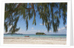 Praslin Island, Seychelles, Indian Ocean Islands by Anonymous