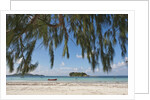 Praslin Island, Seychelles, Indian Ocean Islands by Anonymous
