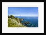 Coastline, Naples, Campania, Italy by Anonymous
