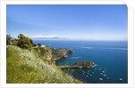 Coastline, Naples, Campania, Italy by Anonymous
