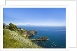 Coastline, Naples, Campania, Italy by Anonymous