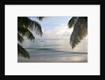 Landscape with palm leaves and beach at sunset, Grand Anse, Praslin Island, Seychelles by Anonymous