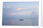 Boat floating on water close to shore, Grand Anse, Praslin Island, Seychelles by Anonymous