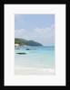 View of Anse Lazio beach, Grand Anse, Praslin Island, Seychelles by Anonymous