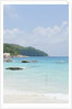View of Anse Lazio beach, Grand Anse, Praslin Island, Seychelles by Anonymous