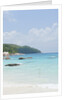 View of Anse Lazio beach, Grand Anse, Praslin Island, Seychelles by Anonymous