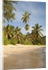 View of Takamaka Beach, Mahe, Seychelles by Anonymous