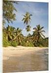 View of Takamaka Beach, Mahe, Seychelles by Anonymous
