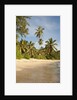 View of Takamaka Beach, Mahe, Seychelles by Anonymous
