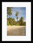 View of Takamaka Beach, Mahe, Seychelles by Anonymous