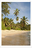 View of Takamaka Beach, Mahe, Seychelles by Anonymous