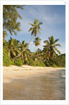 View of Takamaka Beach, Mahe, Seychelles by Anonymous