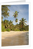 View of Takamaka Beach, Mahe, Seychelles by Anonymous