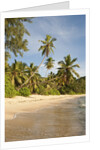 View of Takamaka Beach, Mahe, Seychelles by Anonymous