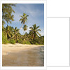 View of Takamaka Beach, Mahe, Seychelles by Anonymous