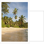 View of Takamaka Beach, Mahe, Seychelles by Anonymous