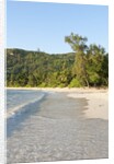 View of Takamaka Beach, Mahe, Seychelles by Anonymous