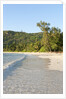 View of Takamaka Beach, Mahe, Seychelles by Anonymous