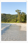 View of Takamaka Beach, Mahe, Seychelles by Anonymous
