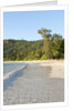 View of Takamaka Beach, Mahe, Seychelles by Anonymous
