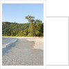 View of Takamaka Beach, Mahe, Seychelles by Anonymous