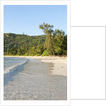 View of Takamaka Beach, Mahe, Seychelles by Anonymous