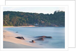 View of Takamaka Beach, Mahe, Seychelles by Anonymous